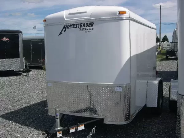 Homesteader 5 x 8 Enclosed Cargo Trailer Single Rear Door